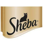 Sheba日式黑罐 