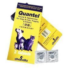 Quantel 康圖 - 杜蟲藥/驅蟲片 (2粒裝)
