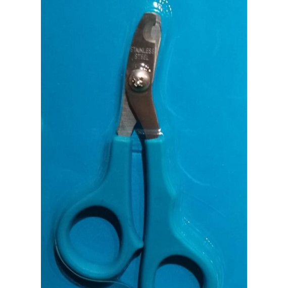 Inok Morrison nail scissors for small pets 【小型寵物指甲鉗】